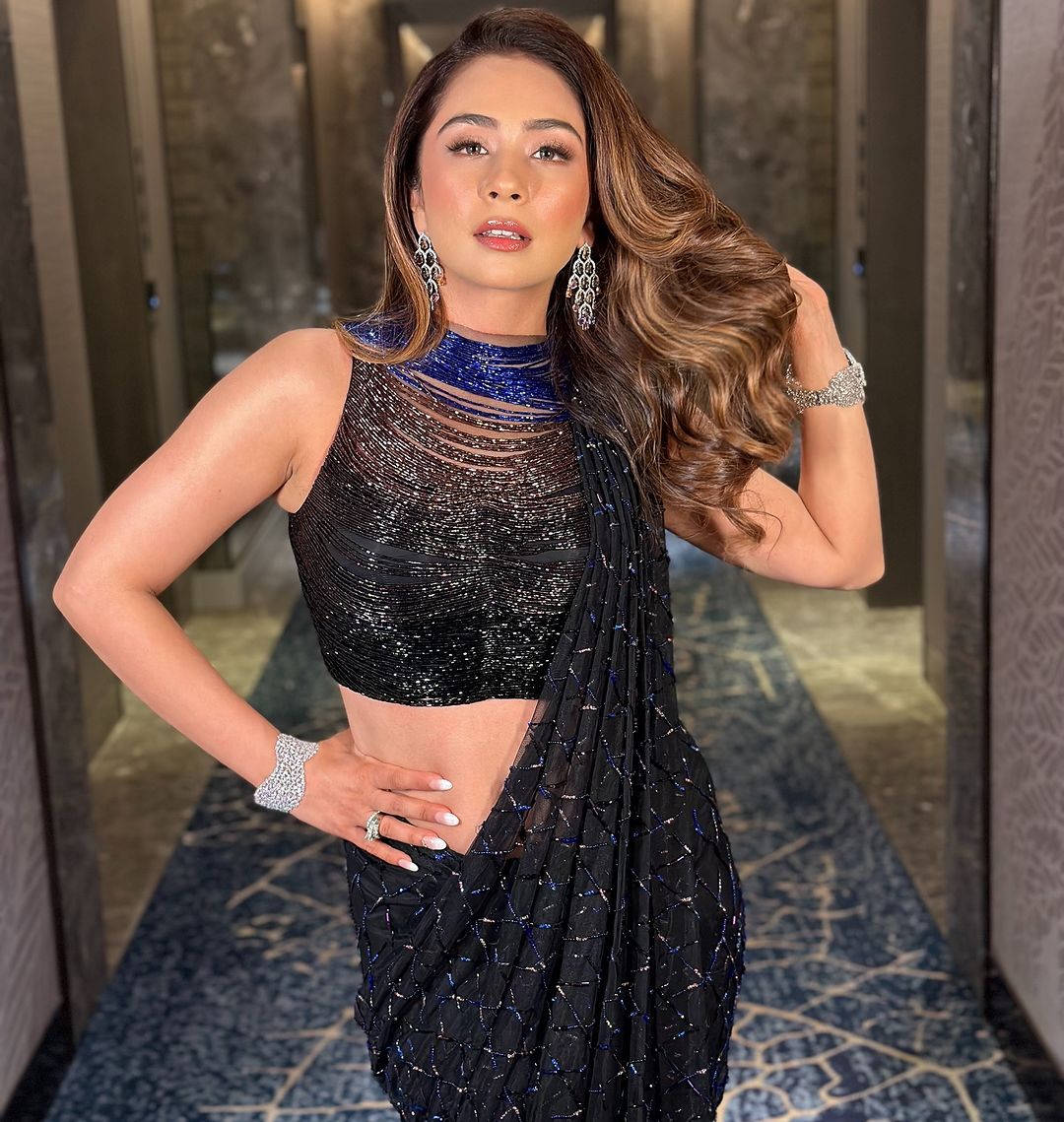 Ombré Tasseled Sari