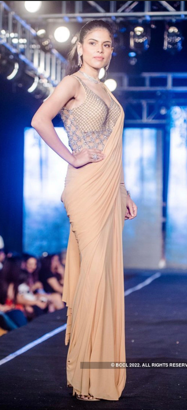 Nude Encrusted Mid Pleat Saree Gown