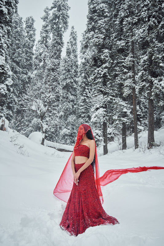 Savannah- Red embroidered rose lehenga set