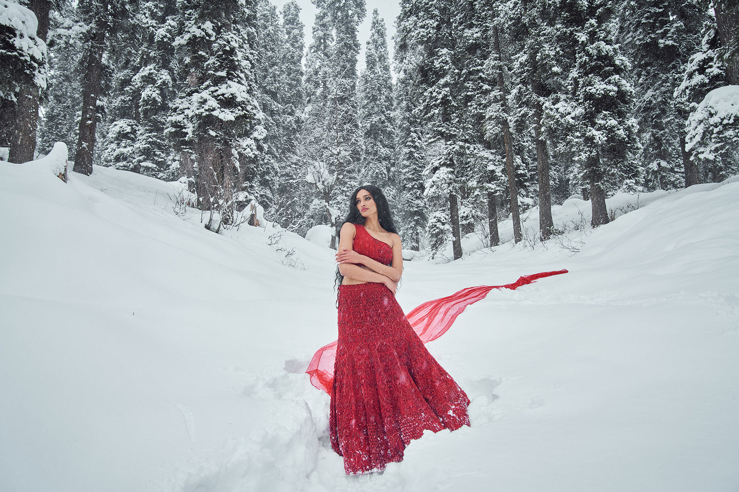 Savannah- Red embroidered rose lehenga set
