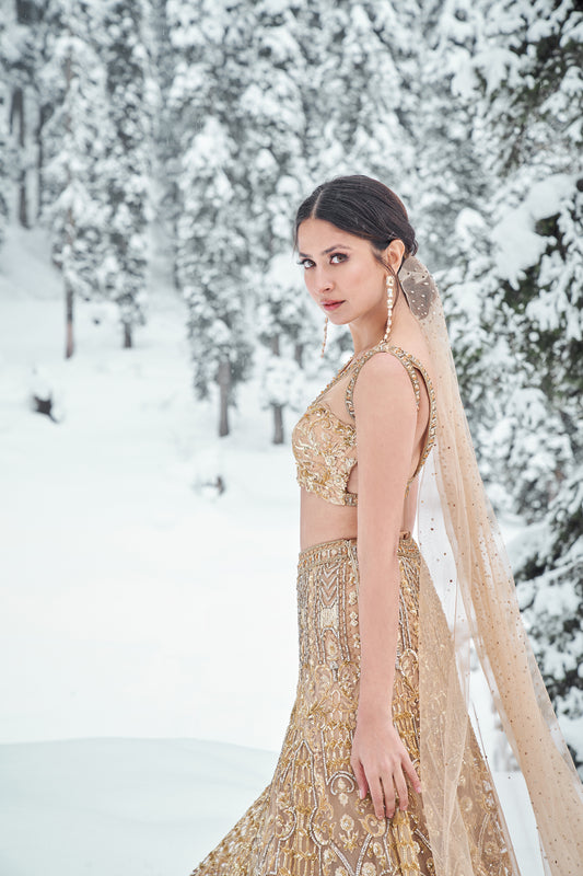 Evelyn- Victorian Gold embroidered lehenga set