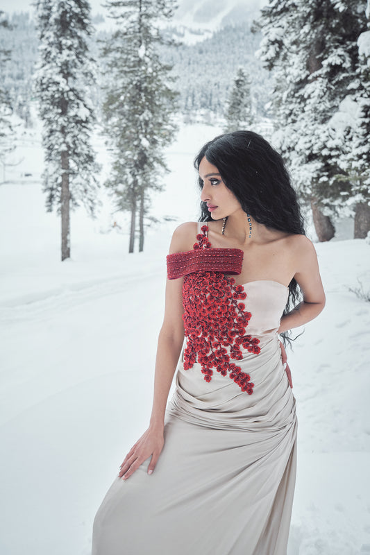 Ira- Champagne gown with Cherry blossom embroidered saree gown