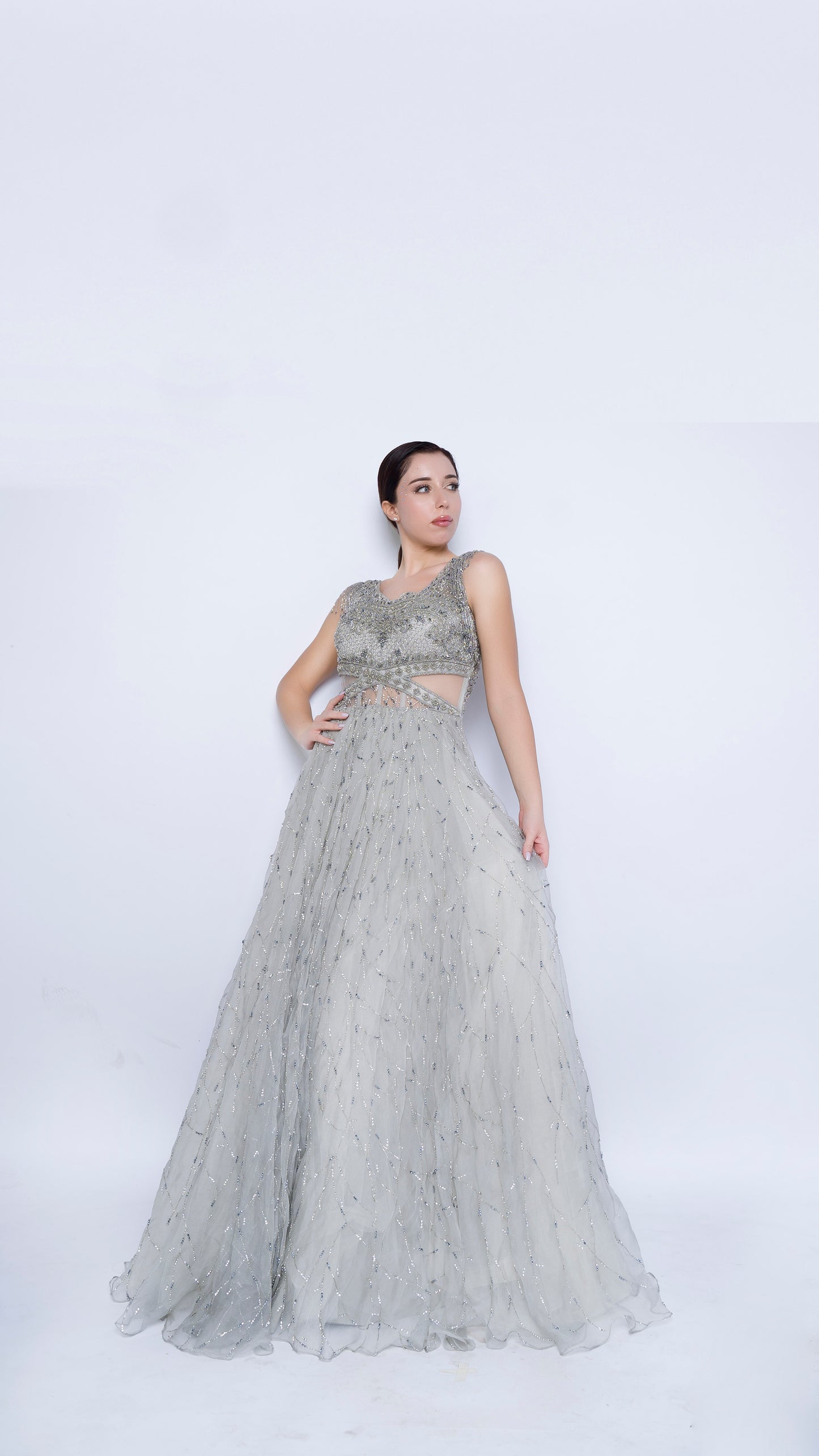 Stardust embroidered cutwaist flounce gown with sleeves tassels