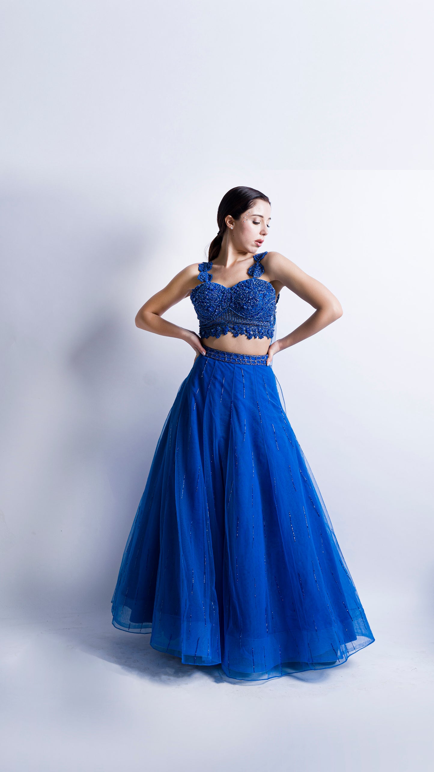 Midnight Blue rose embroidered lehenga set