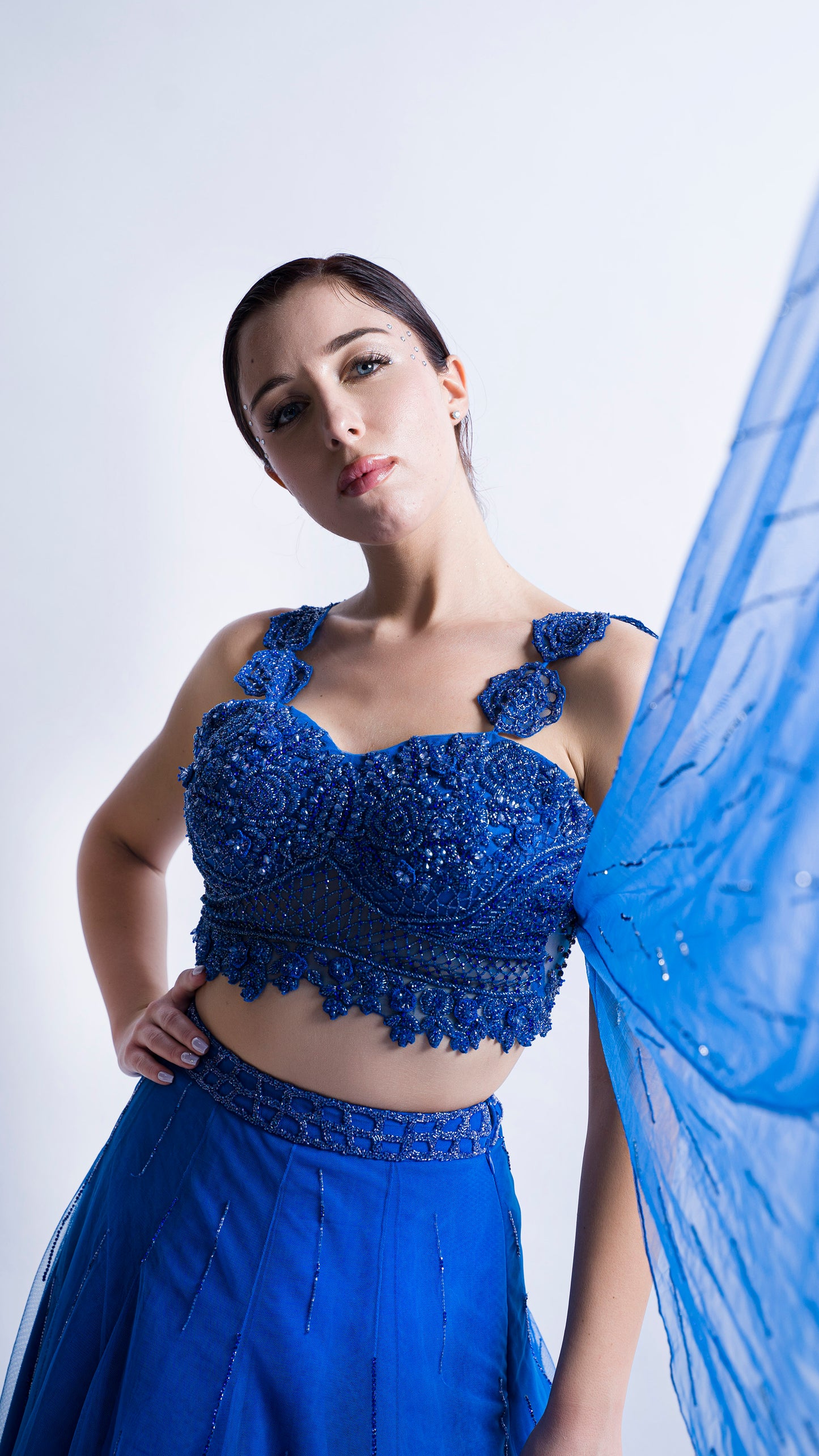 Midnight Blue rose embroidered lehenga set