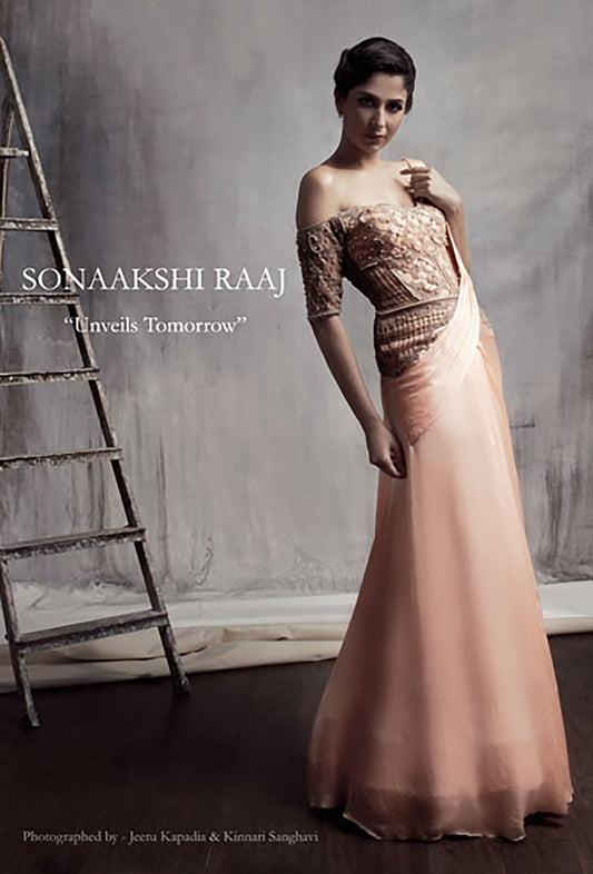 Gown with an attached Pallu and Bodice