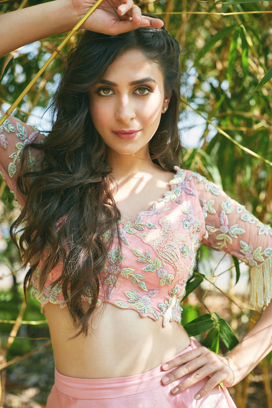 Multi color Blouse with lehenga