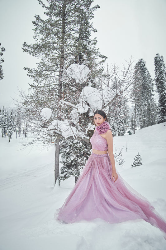 Elijah- Balm coloured wild rose lehenga set with crystal splatter