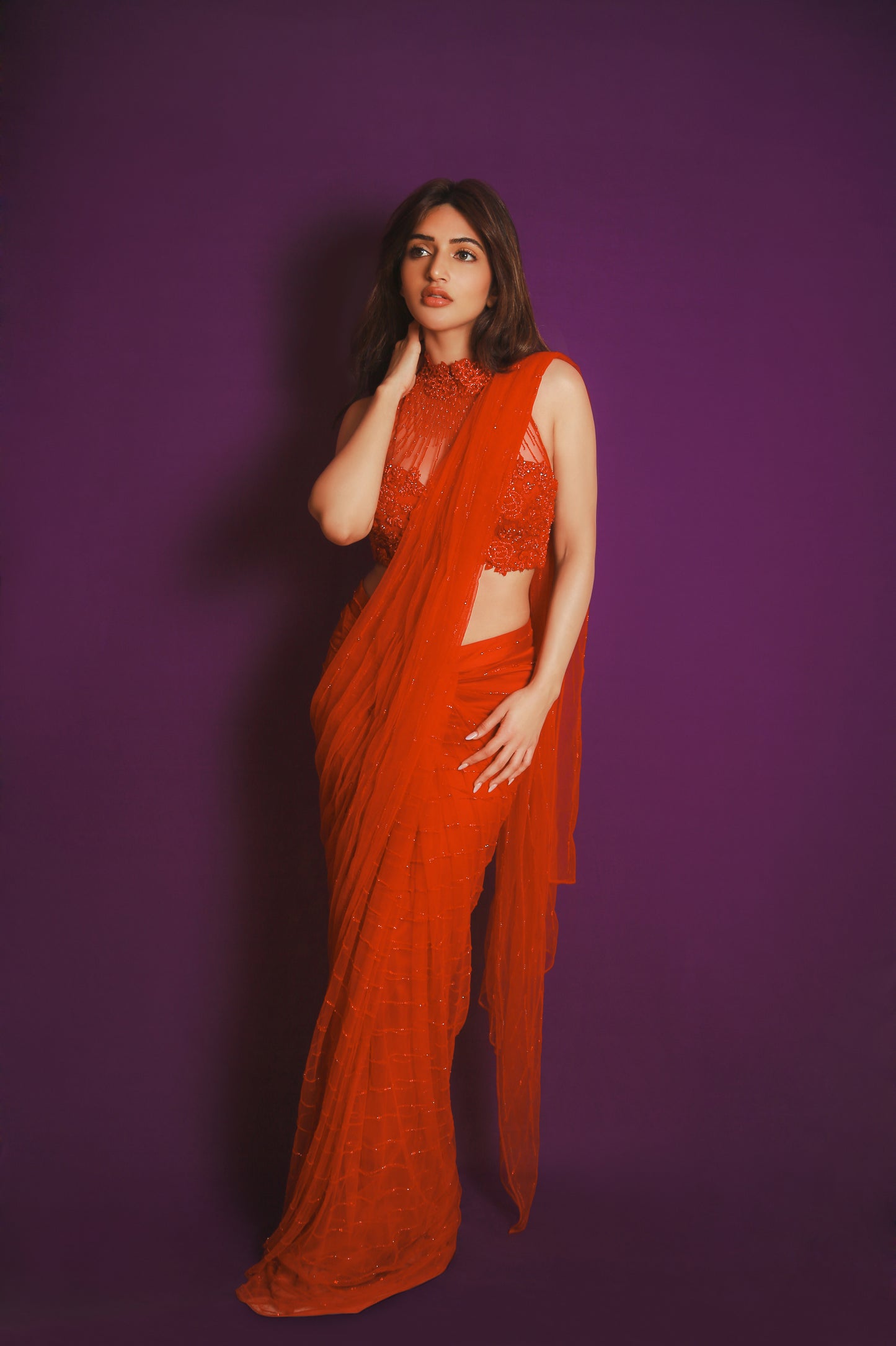 Ruby Crystal Rose Sari