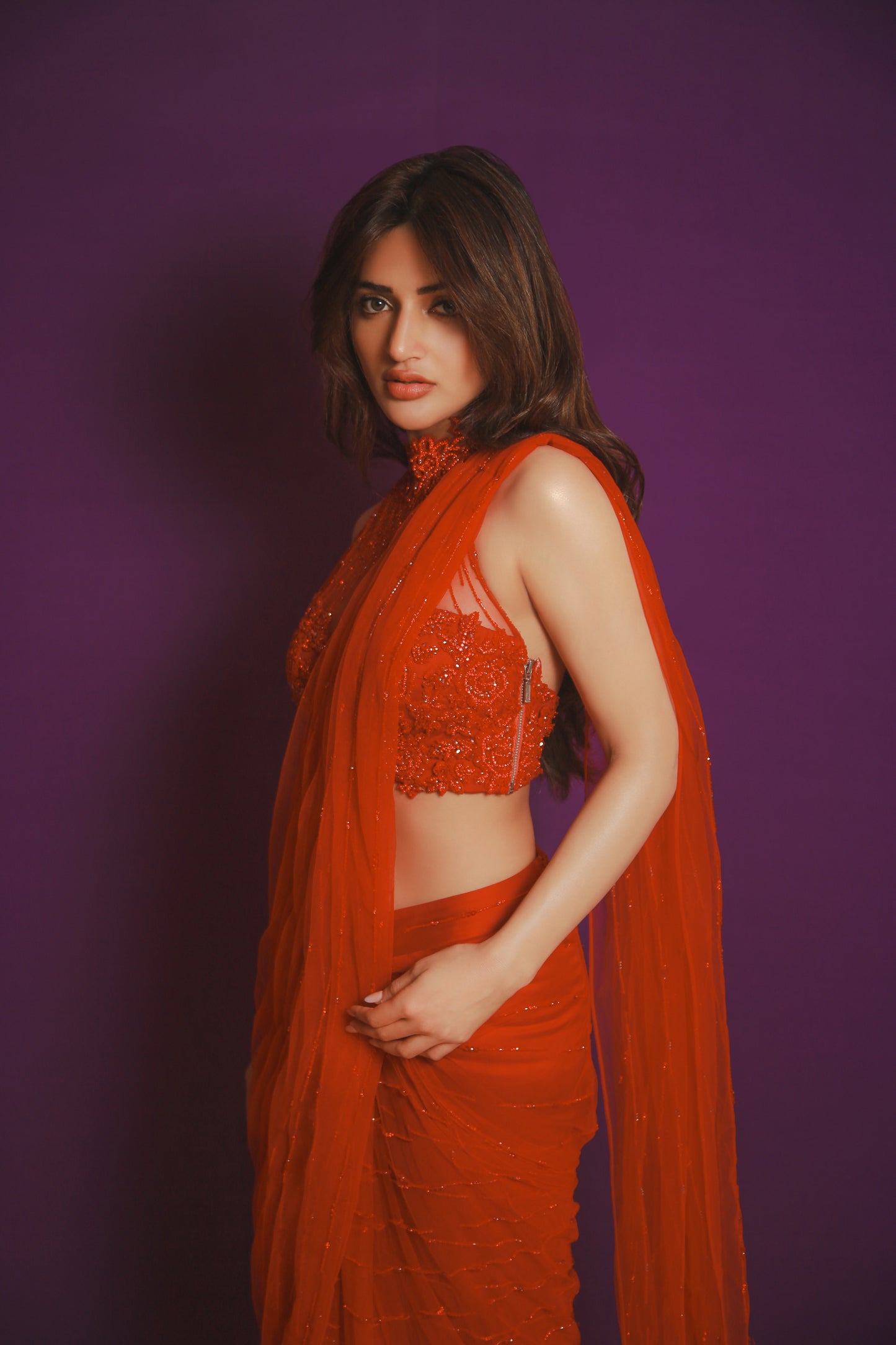 Ruby Crystal Rose Sari