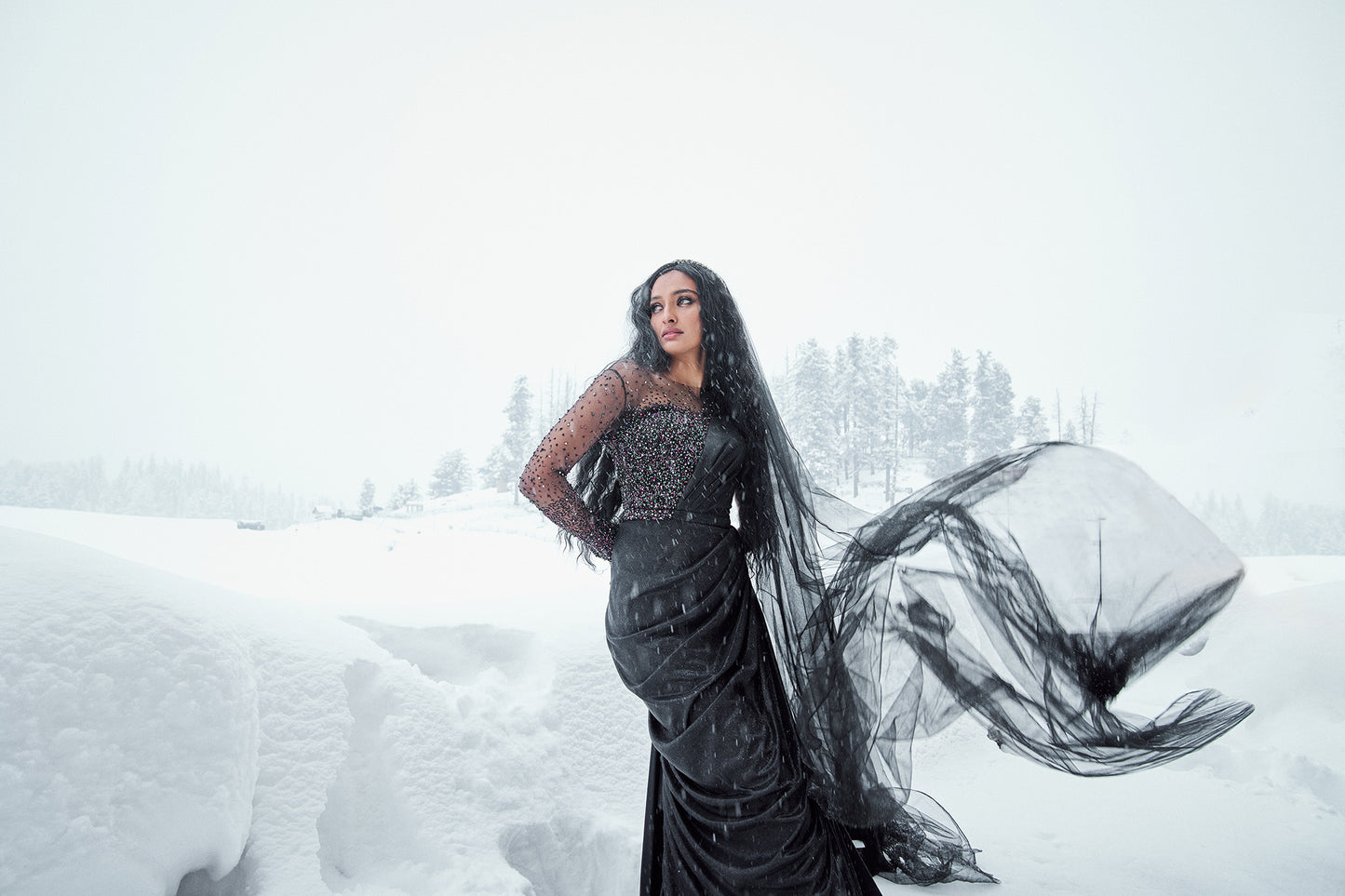 Marielle- Black starry embroidered glove saree gown